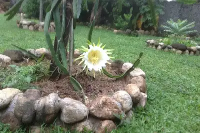 Image de Comme à la maison au Sri Lanka