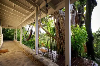Image de Cottage en pierres autour d'un arbre Banyan vues mer et montagne