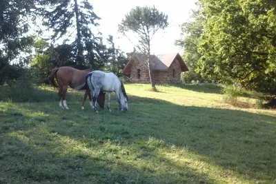 Image de Petite maison en pierre des plus insolites à la campagne