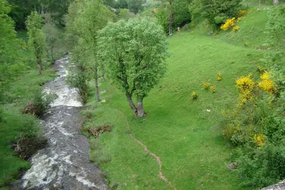 Image de Gite 3 Epis en bordure de forêts, au pays de la Bête du Gévaudan, grands espaces
