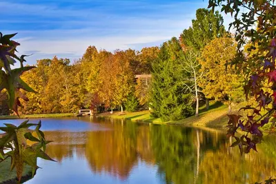 Image de Wyndham Fairfield Glade