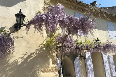 Image de Yellow cottage in Provence
