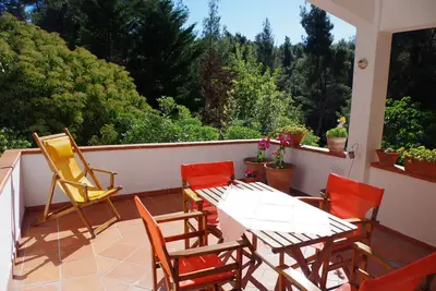 Image de Belle maison d'été dans la forêt de pins de Sani