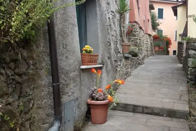 Image de 5 Cinque Terre à la campagne (code Citra 011006-Lt-0002)
