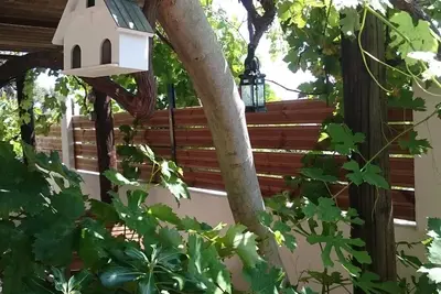 Image de La Corse, entre mer et montagne! \"U Zifiru\"