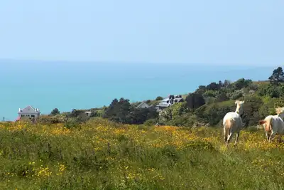 Image de Logt 5 Personnes Vue Sur Mer. Poney Et Trampoline. Situe Le Long D'Un Gr. Nature