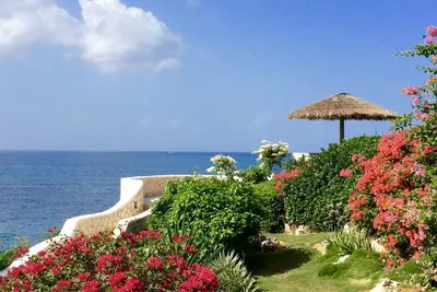 Image de « Butterfly House » Bienvenue au paradis!