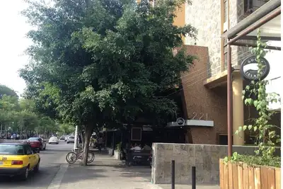 Image de Sobre Avenida Chapultepec