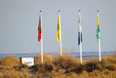 Image de Plage de l'île d'Armona, île d'Armona, Olhão Algarve