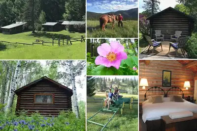 Image de Une véritable expérience d'hébergement au Montana!