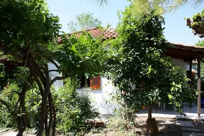 Image de Calme, au milieu d'une oliveraie, près de la plage, wifi | Maison de vacances Ili