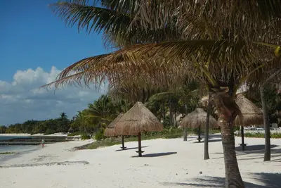 Image de Penthouse avec piscine sur le toit et vue sur l'océan