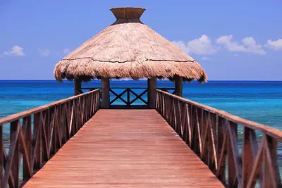 Image de Grand Luxxe Jungle Suite<br>Réservation confirmée pour Nye 12 / 29-1 / 5! Réservez vite