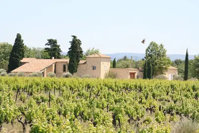 Image de Gite 6-8 personnes, piscine, au coeur d'un vignoble, au pied du Ventoux Provence