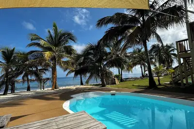 Image de Magnifique! , palmiers, plage de sable, piscine avec voiles d'ombrage, cabane de plage, etc.