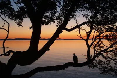 Image de * Oceanfront * Vues spectaculaires à 180 degrés, Bain à remous, Plage, Vignobles, 15 min du centre-ville