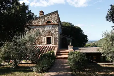 Charmante oliveraie récemment rénovée au cœur de la Toscane