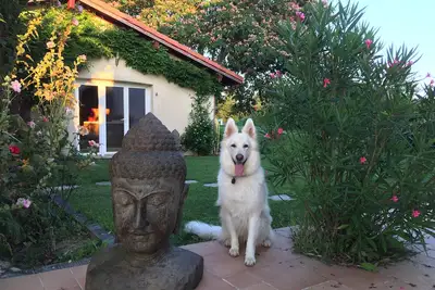 Image de La Ferme des Bouddhas, proche Dax, 40mn Seignosse/Bayonne, 4-6 couchages