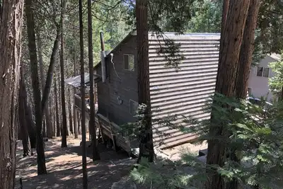 Image de Sequoia National Forrest Cabin escapade
