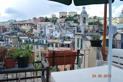 Image de Le Geco Sur Les Toits De GÊNES<br>010025-Lt-1029
