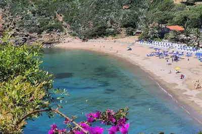 A quelques pas de la mer rdv est offre spéciale wifi gratuit