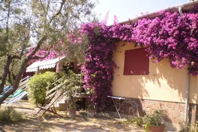 Appartement Vert immergé dans l'oliveraie
