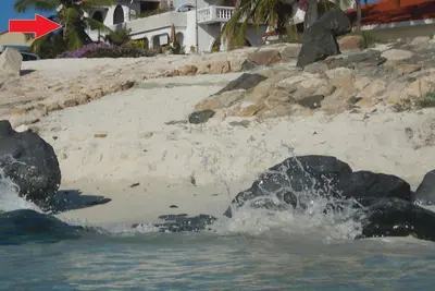 Image de Beach White Villa Aruba, le meilleur spot de plongée de l'île!