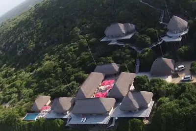 Image de L'Océan Indien Dugongo