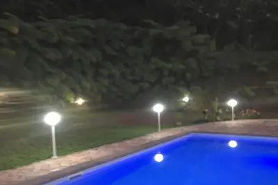 Image de Beau T3 en forêt tropicale avec piscine