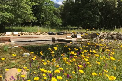 Image de Bungalows en pleine nature, piscine naturelle et jardin bio
