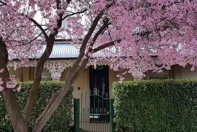 Image de Daisy Cottage - Très bien situé à proximité de la Cdb