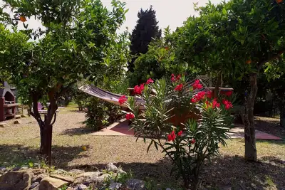 Maison de campagne entourée d'olives et de citrons. À la mer Excursions en bateau privé à réserver