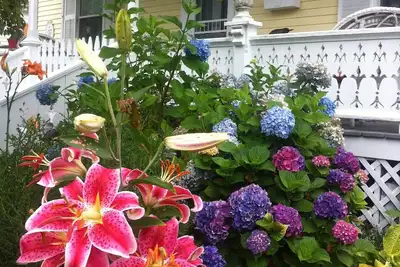 Image de Belle maison de 3-4 chambres dans le quartier historique; Marchez jusqu'à la plage, 6-8 personnes