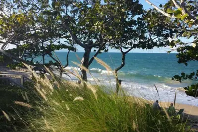 Image de Marchez jusqu'à la plage avec cette île parfaite comme chez vous!