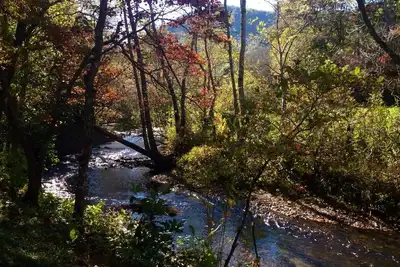 Image de Confidentialité du front du ruisseau Smoky