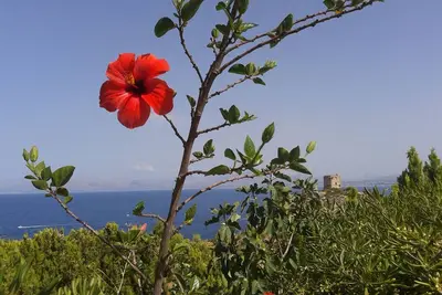 Image de Près du piège de Scopello, la maison avec accès à la mer et vue panoramique