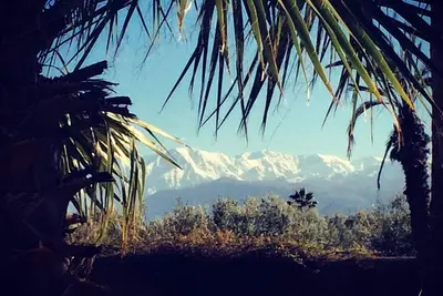 Image de Demeure d'exception au milieu des oliviers avec vue époustouflante sur l'Atlas