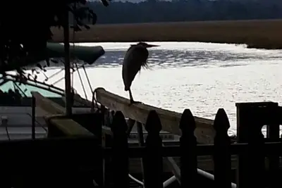 Image de Sunmist Cottage, Beautiful View, Private Deep Water Dock, Your Own Quiet Getaway