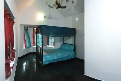 Image de Jade Room - Dream Turtle