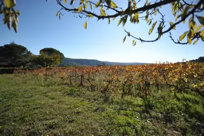 Image de Gîte avec barbecue et terrasse clos à proximité de commerces et de rivières