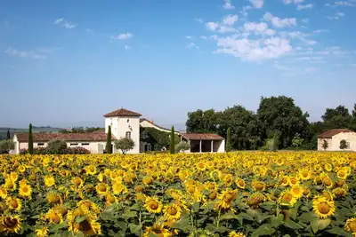 Image de Isolé, nouvellement restauré 14c de luxe colline ferme située sur 10 hectares
