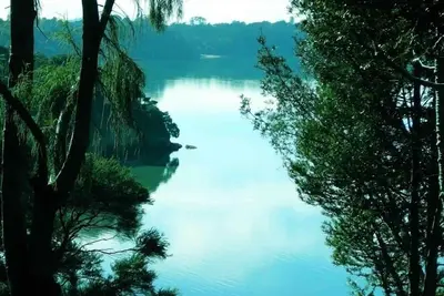 Image de Titirangi Tree House Escape