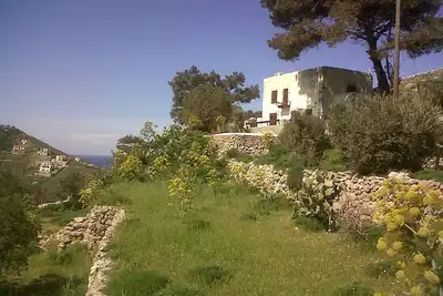 Image de Kalymnos: Maison de charme sur une île authentique, vue panoramique mer