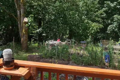 Image de Scott Creek Farm: 2 Acre Farm durable Avec Forest, Creek, et le parc naturel.
