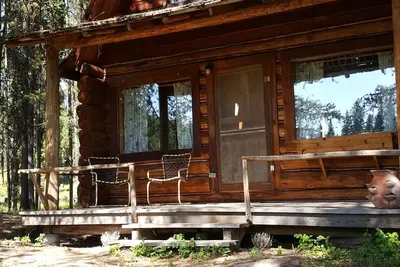 \"Loon's Nest\" cabane rustique cachée parmi les pins