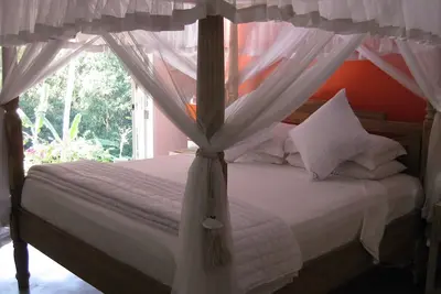 Image de Notre chambre de luxe «Lotus»