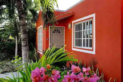 Image de Casa Mandarina au Mexique! Promenade à la plage de Xcacel et aux Cenotes