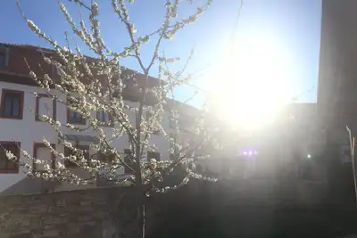 Image de Appartement Familial de luxe dans un endroit de la ville et la proximité de la nature