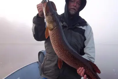 Image de camp de pĂŞche et de chasse