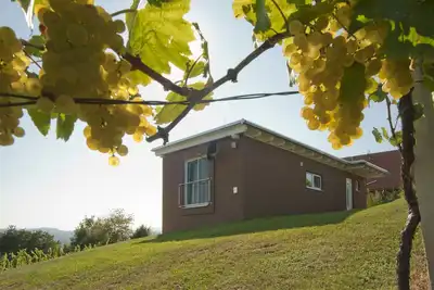 Image de maison de vacances \"das nussberg\" dans le vignoble